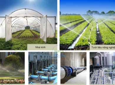 Top Các Loại Ống PE Tưới Nước Được Ưa Chuộng Nhất Hiện Nay