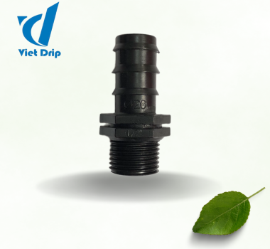Khởi thuỷ 20 ren 21