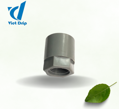 PVC 21 ren trong 16